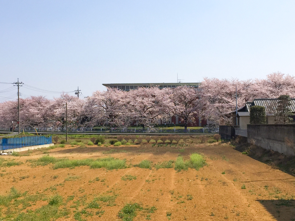 軒の深い大きな屋根の家
